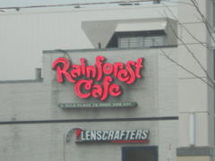 Burlington Rainforest Cafe Employees Bring Class Action Lawsuit Over Tipping Policy